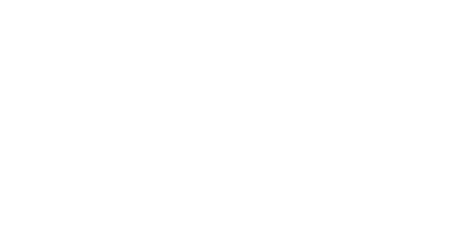 ICE LAB